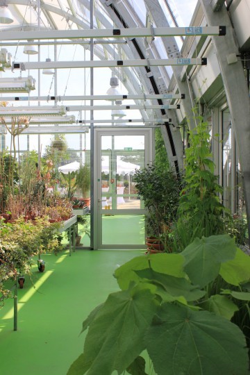 Riedberg campus Frankfurt Botanical garden 4