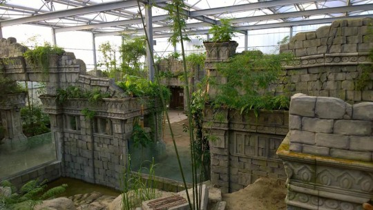 Vlindertuin kas Wildlands