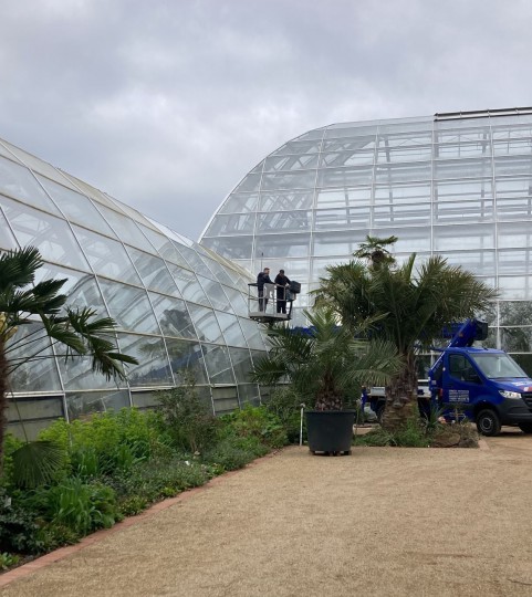 Maintenance Flora cologne botanischer garten