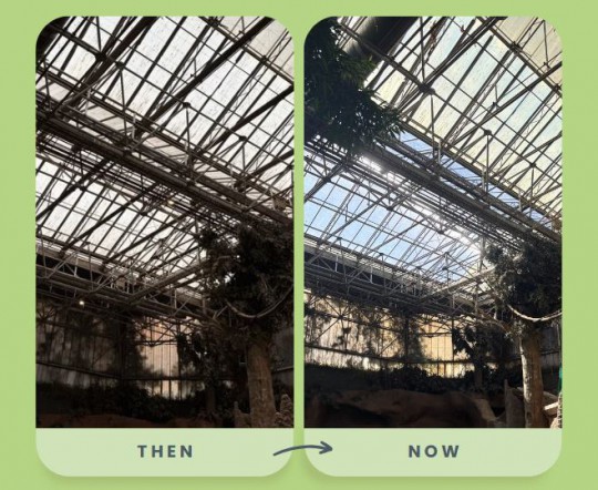 Blijdorp Renovation zoo