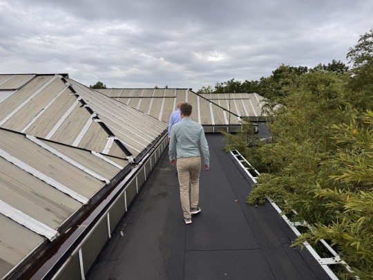 roof renovation elephant enclosure zoo dak renovatie blijdorp 10