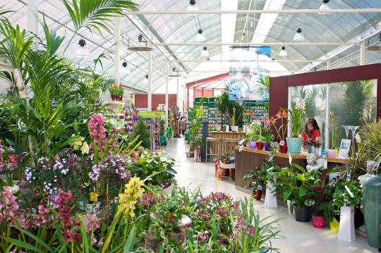 09 Ballyseede Garden9781