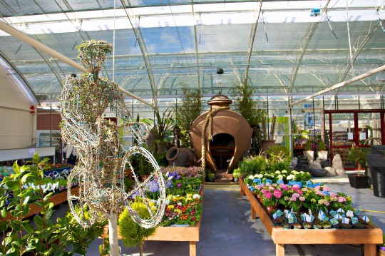 09 Ballyseede Garden9888