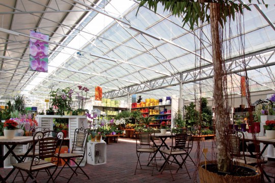 Dvorak4GardenCentre