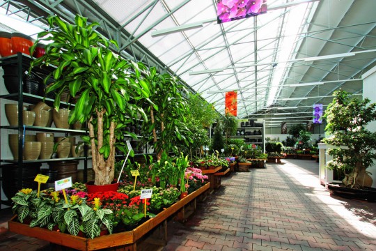 Dvorak7 Garden Centre