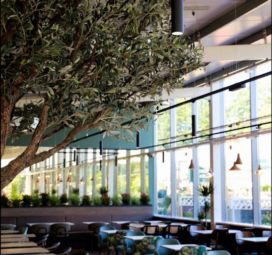 Restaurant Longacres garden centre expansion Smiemans