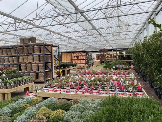 Inside glass construction Pavilion garden centre 2