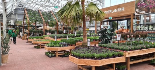 Plantorama Tilst Horsholm garden centre Smiemans Havecenter 1