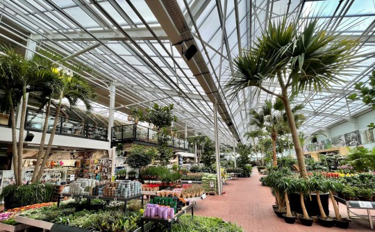 Havecenter Plantorama Smiemans Tilst garden centre 4