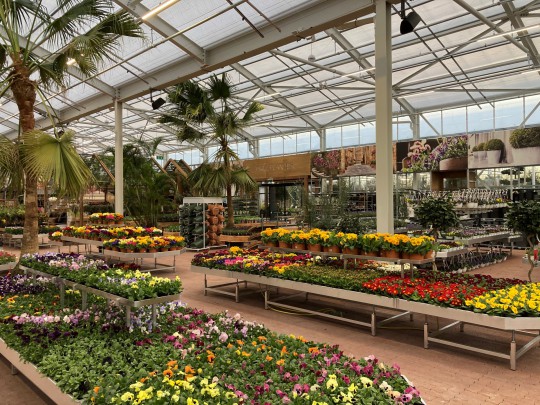 Plantorama Havecenter Horsholm garden centre Smiemans 2