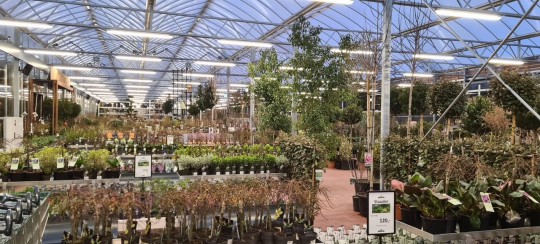 Plantorama Tilst Horsholm garden centre Smiemans Havecenter 6