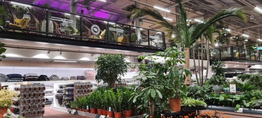 Plantorama Tilst Horsholm garden centre Smiemans Havecenter4