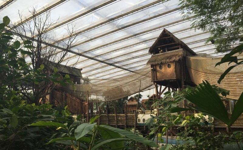 Glass construction Zoo Wildlands