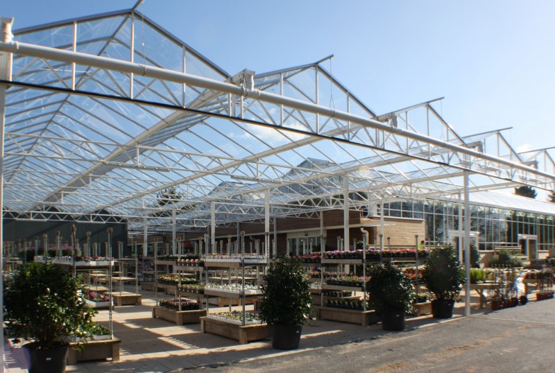 Squires garden centre woking
