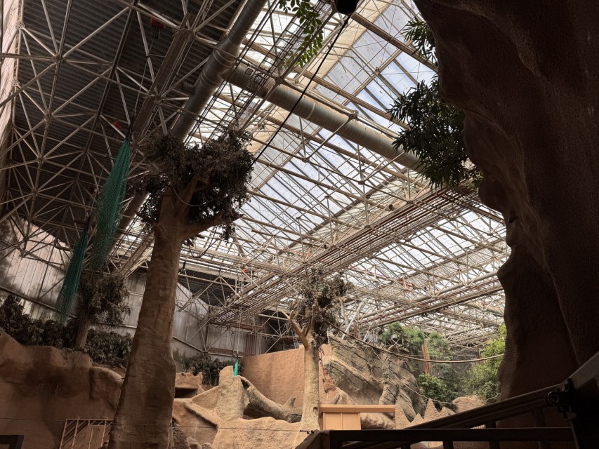 roof renovation elephant enclosure zoo dak renovatie blijdorp 28